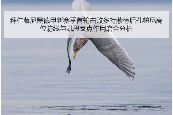 拜仁慕尼黑德甲新赛季首轮击败多特蒙德后孔帕尼高位防线与凯恩支点作用磨合分析