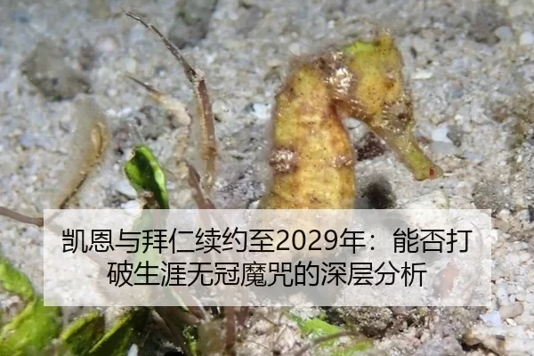 凯恩与拜仁续约至2029年：能否打破生涯无冠魔咒的深层分析